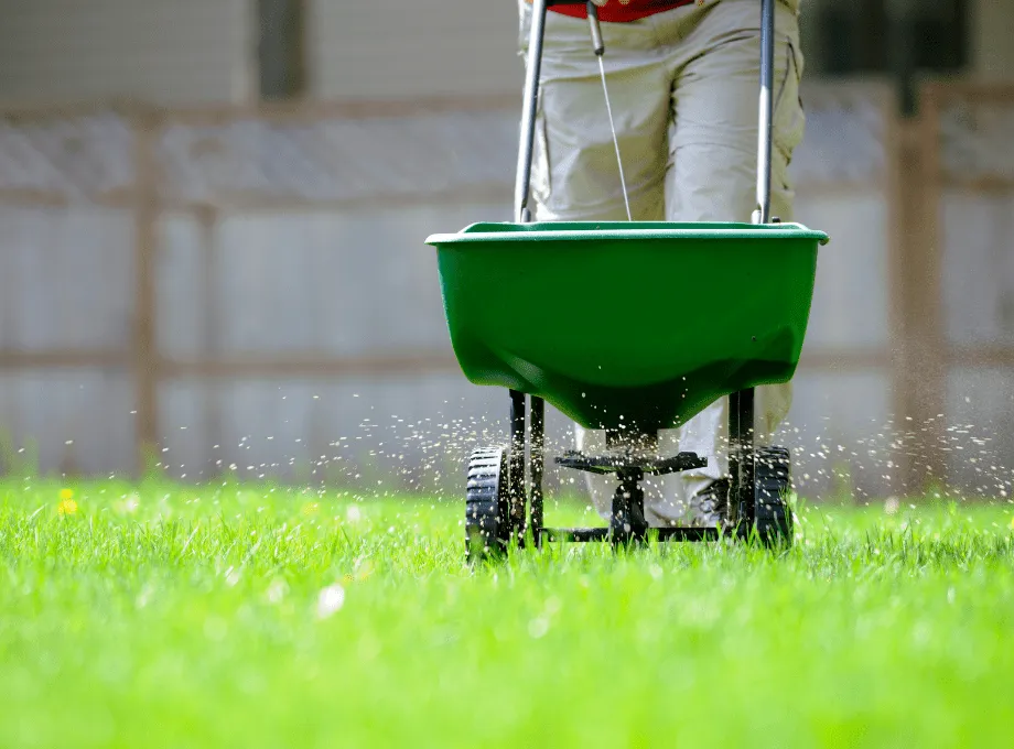 Lawn Fertilization