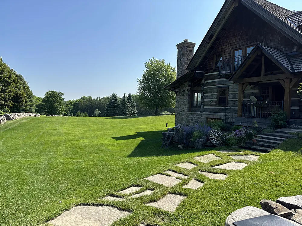 Lawn.Buzz Lawn Restoration Services
