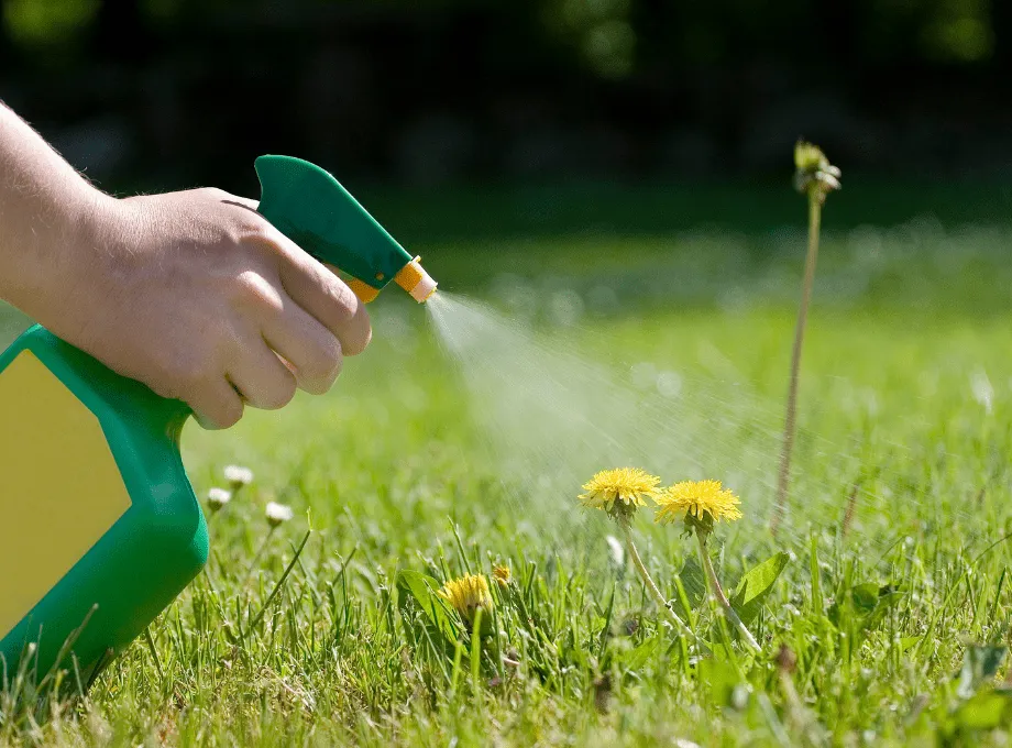 Weed Control Programs